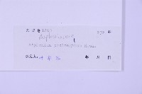 長生鐵角蕨藏品圖，第2張