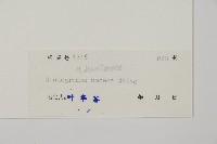 登錄號:P004949藏品圖，第2張