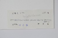 登錄號:P004954藏品圖，第2張