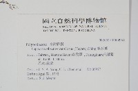 鱗瓦葦、長柄瓦葦藏品圖，第2張