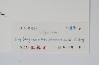 登錄號:P004983藏品圖，第2張