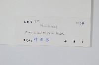 鳳尾蕨藏品圖，第2張