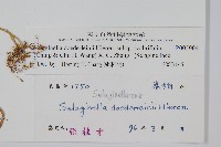 登錄號:P005004藏品圖，第2張