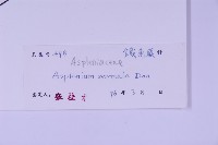 生芽鐵角蕨藏品圖，第5張