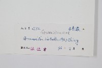 登錄號:P005017藏品圖，第2張