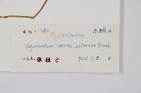 木賊藏品圖，第2張