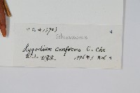 海南海金沙藏品圖，第2張