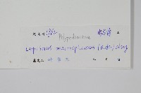 大瓦葦藏品圖，第2張