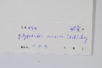 友水龍骨藏品圖，第2張