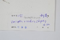 登錄號:P005099藏品圖，第2張