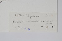 粵瓦葦藏品圖，第2張