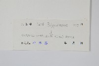 大線蕨藏品圖，第2張