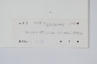 橢圓線蕨藏品圖，第2張