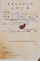 楔羽短腸蕨藏品圖，第2張