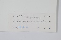 友水龍骨藏品圖，第2張