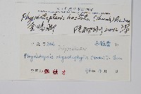 玉山茀蕨藏品圖，第2張