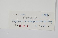 瓦葦藏品圖，第2張