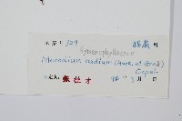 蕗蕨藏品圖，第2張