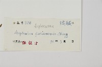 登錄號:P005234藏品圖，第5張