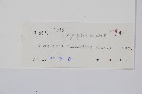 兩色鱗毛蕨藏品圖，第2張