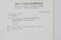 石松藏品圖，第2張