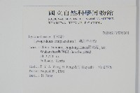 地刷子藏品圖，第2張