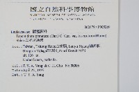 二羽達邊蕨藏品圖，第2張