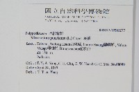 星蕨藏品圖，第2張