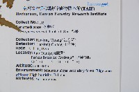 栗蕨藏品圖，第5張