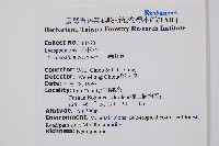 過山龍藏品圖，第2張