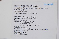 烏蕨藏品圖，第2張