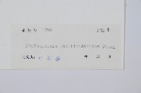 登錄號:P005322藏品圖，第2張