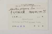 半月形鐵線蕨藏品圖，第2張