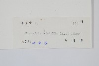 登錄號:P005340藏品圖，第2張