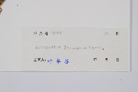 石松藏品圖，第2張