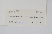 抱樹蓮藏品圖，第2張