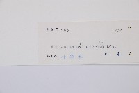 單邊鐵角蕨藏品圖，第3張