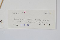 登錄號:P005408藏品圖，第2張