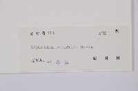 萊氏鐵角蕨藏品圖，第3張