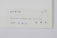 南海鱗毛蕨藏品圖，第2張