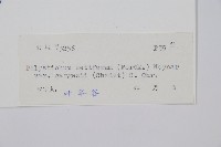 登錄號:P005425藏品圖，第2張