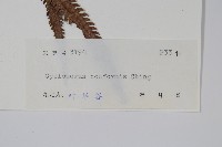 登錄號:P005440藏品圖，第2張