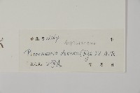 登錄號:P005457藏品圖，第2張