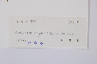 萊氏鐵角蕨藏品圖，第3張