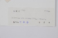 倉田氏蹄蓋蕨藏品圖，第2張