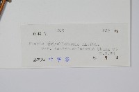 登錄號:P005482藏品圖，第2張