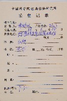 萊氏鐵角蕨藏品圖，第2張