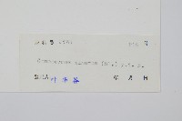 團扇蕨藏品圖，第2張