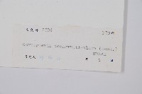 貞蕨藏品圖，第2張