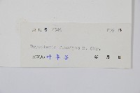 黑足鱗毛蕨藏品圖，第2張